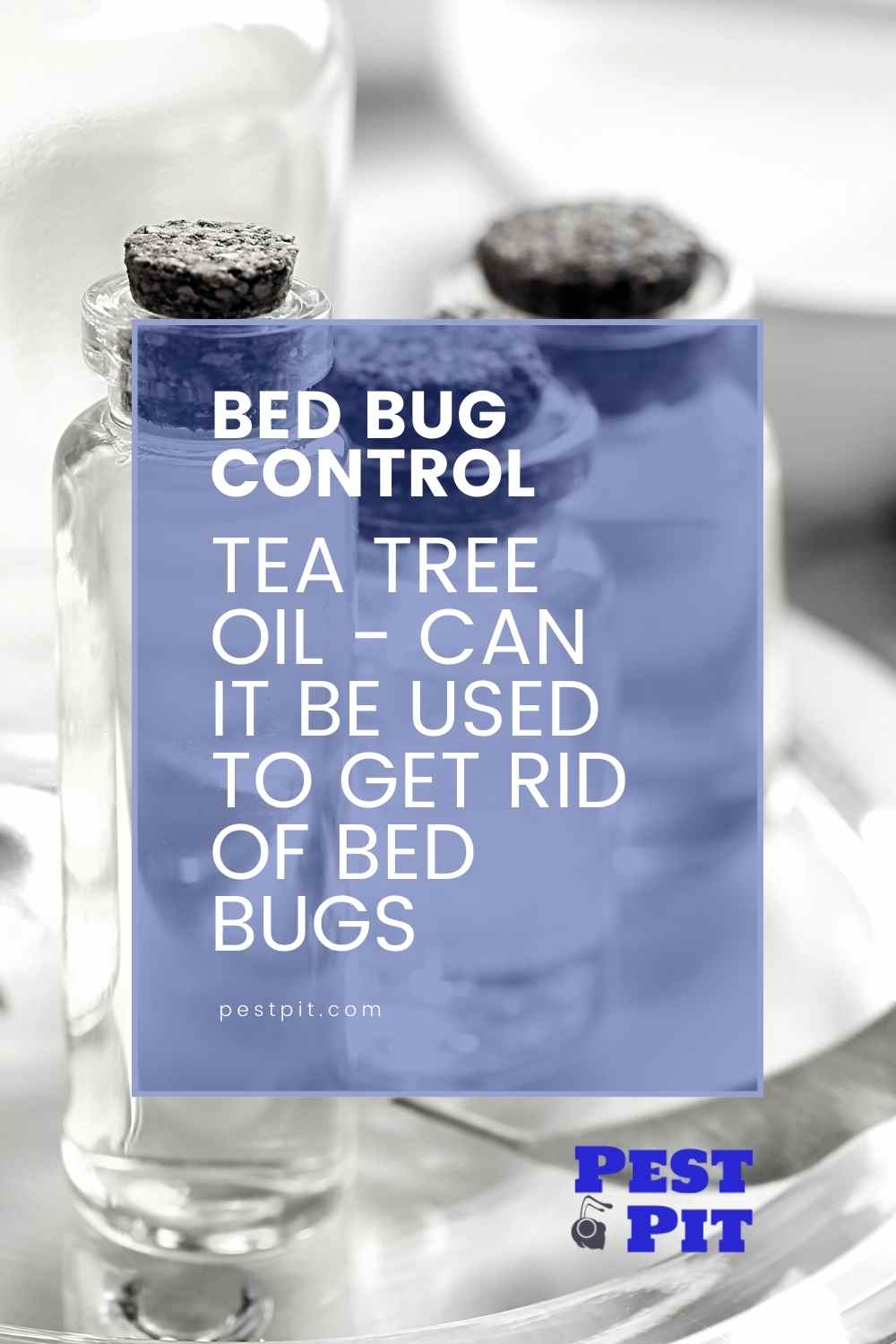 Tea Tree Oil - Can It Be Used To Get Rid Of Bed Bugs? Here Is Our Guide