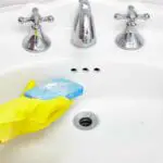 cleaning bathroom sink to get rid of ants