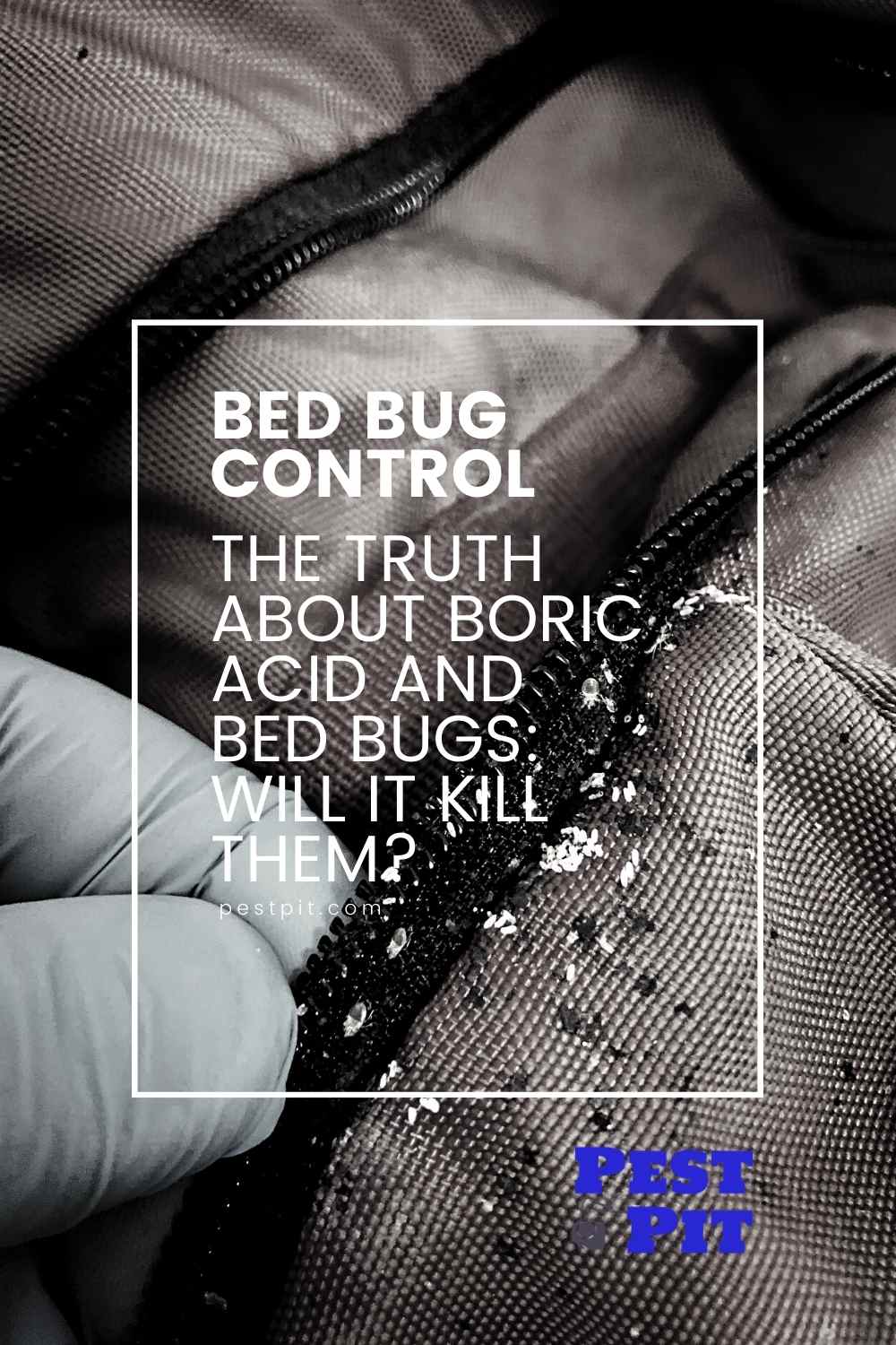 The Truth About Boric Acid and Bed Bugs Will Boric Acid Kill Bed Bugs