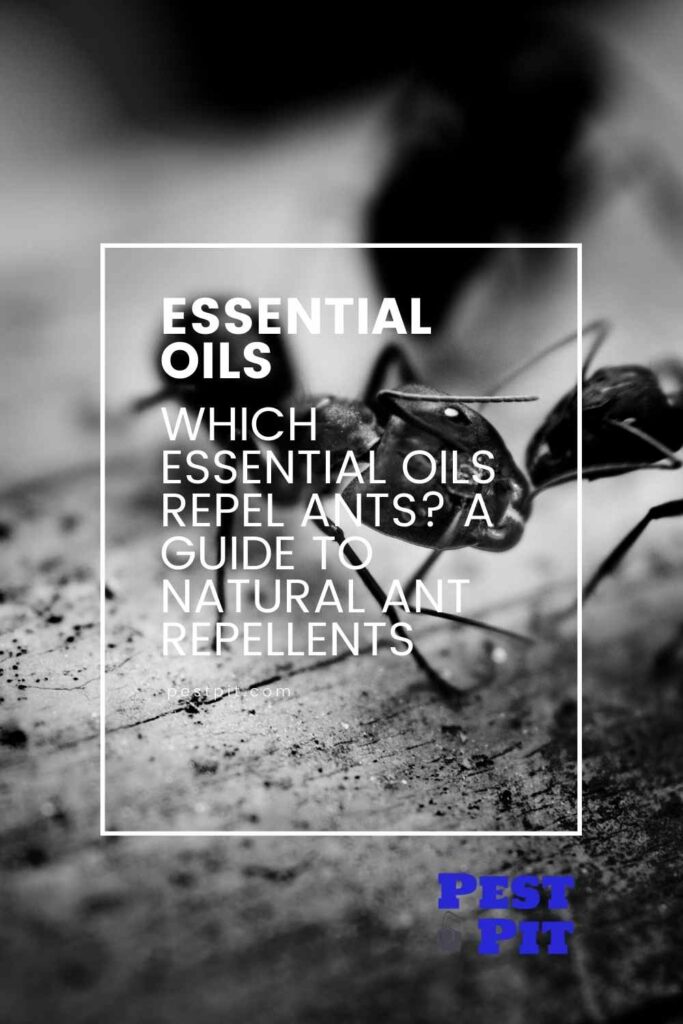 Which Essential Oils Repel Ants A Guide to Natural Ant Repellents
