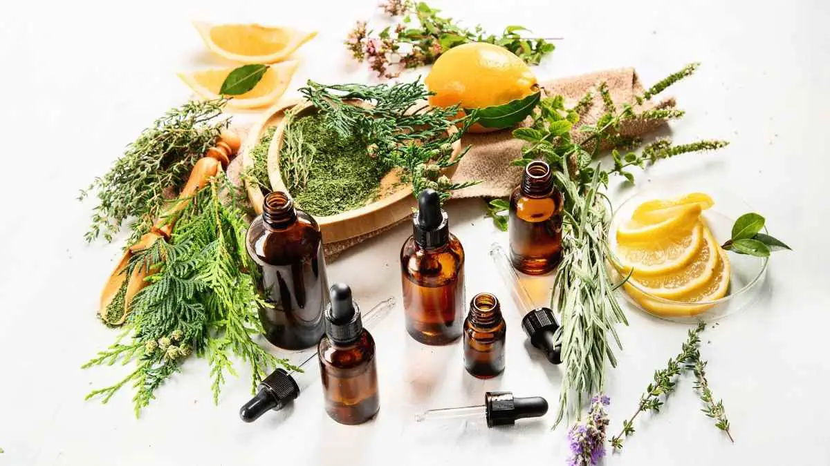 which-essential-oils-repel-ants-a-guide-to-natural-ant-repellents