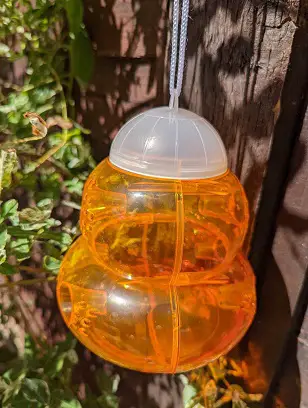 hanging wasp trap