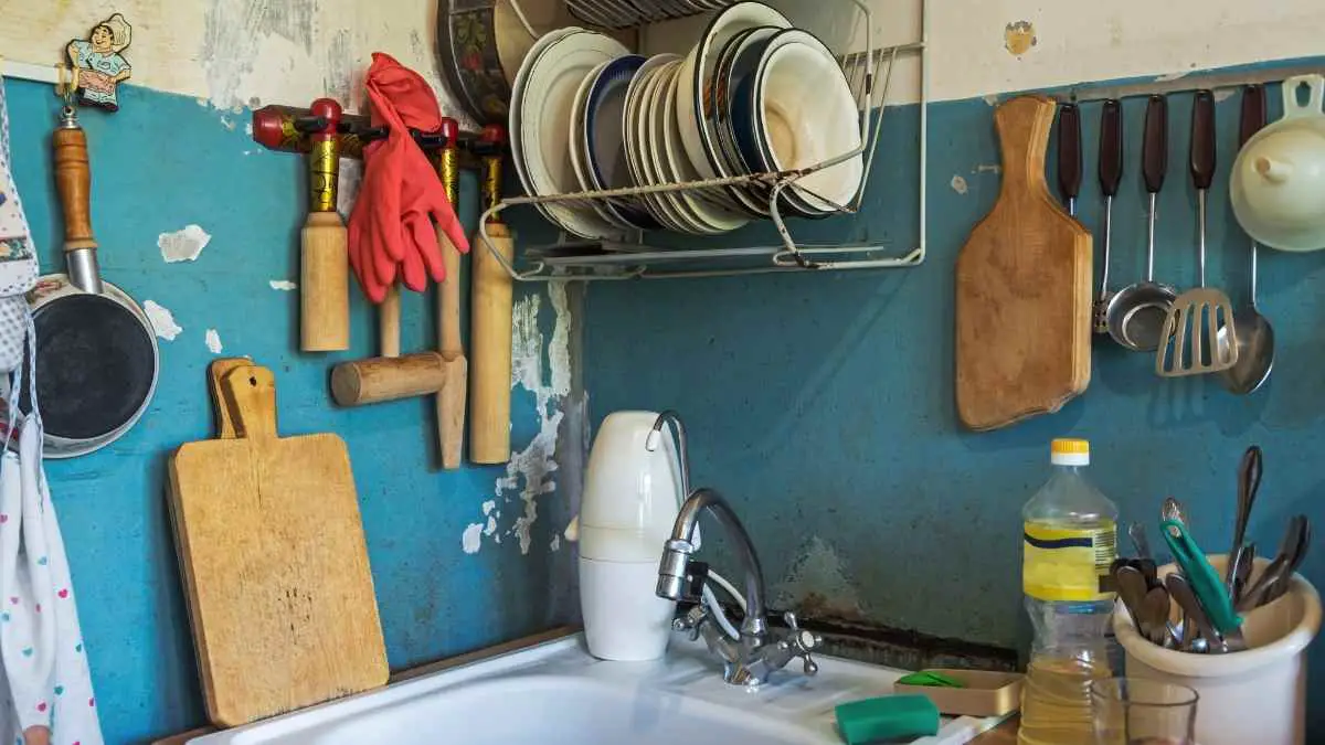 Where Do Cockroaches Hide During the Day? In These 9 Places Pest Pit