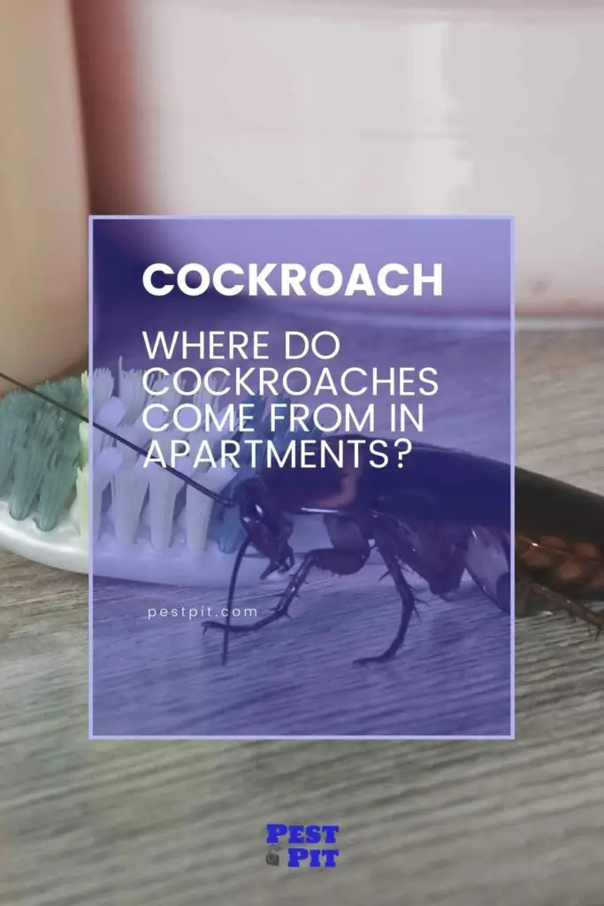 Where do cockroaches come from in apartments