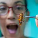 woman holding a cockroach