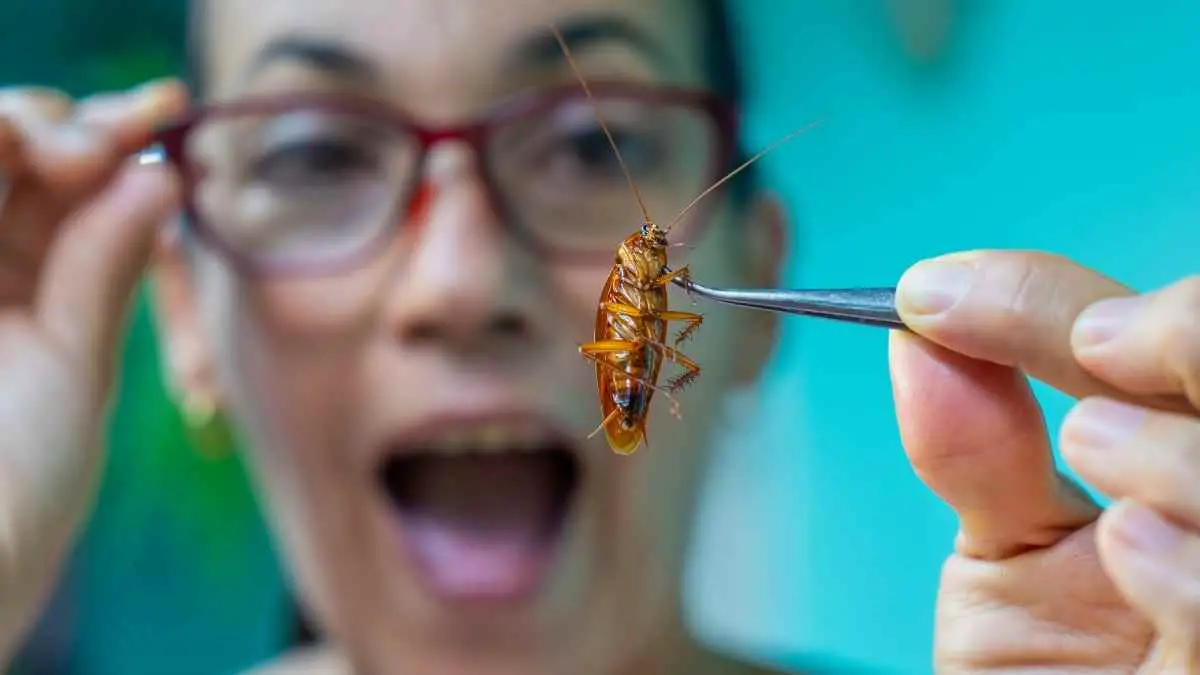 woman holding a cockroach