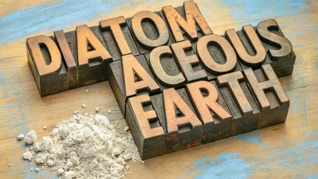 Diatomaceous earth (1)