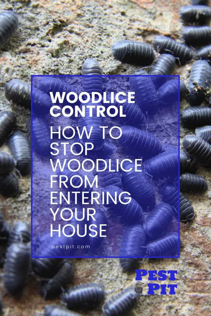 How To Stop Woodlice From Entering Your House