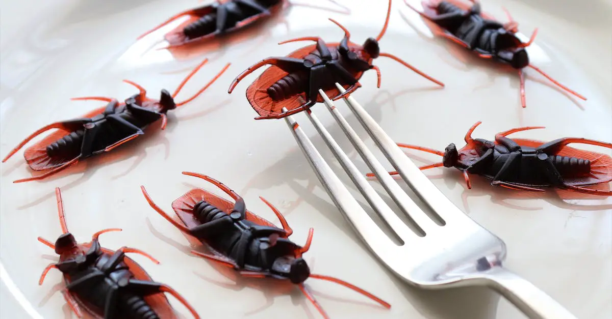 Eco-Friendly Cockroach Repellents That Really Work 11