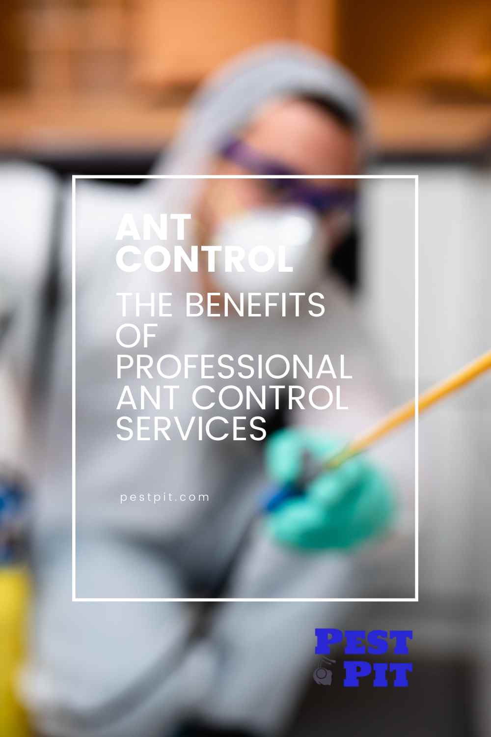 Ants Control Singapore - Ninja Pest Control