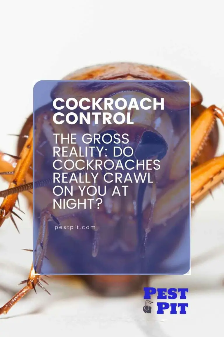 The Gross Reality Do Cockroaches Really Crawl on You at Night? Pest Pit